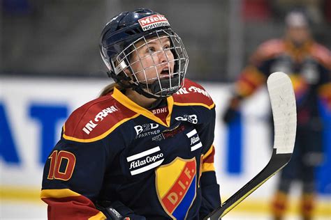 djurgården brynäs sdhl